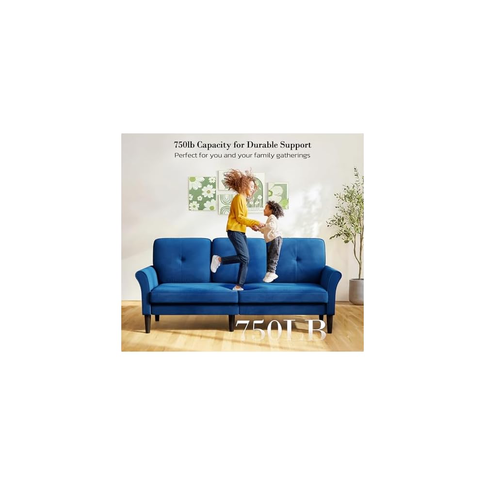Loveseat Sofa, 83" Love Seat Couches, Velvet Small Couch, Blue Couch